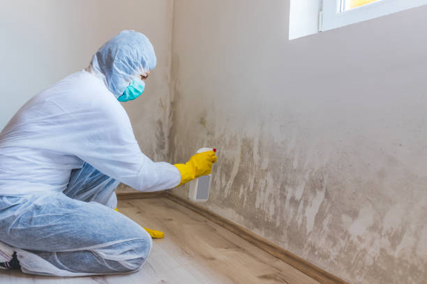Licensed Crawl Space Mold Remediation service in North Richland Hills, TX - Car Mold Remediation