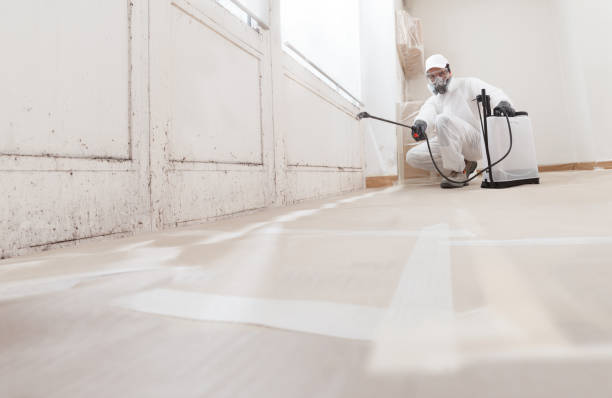 24/7 Emergency Crawl Space Mold Remediation experts in North Richland Hills, TX